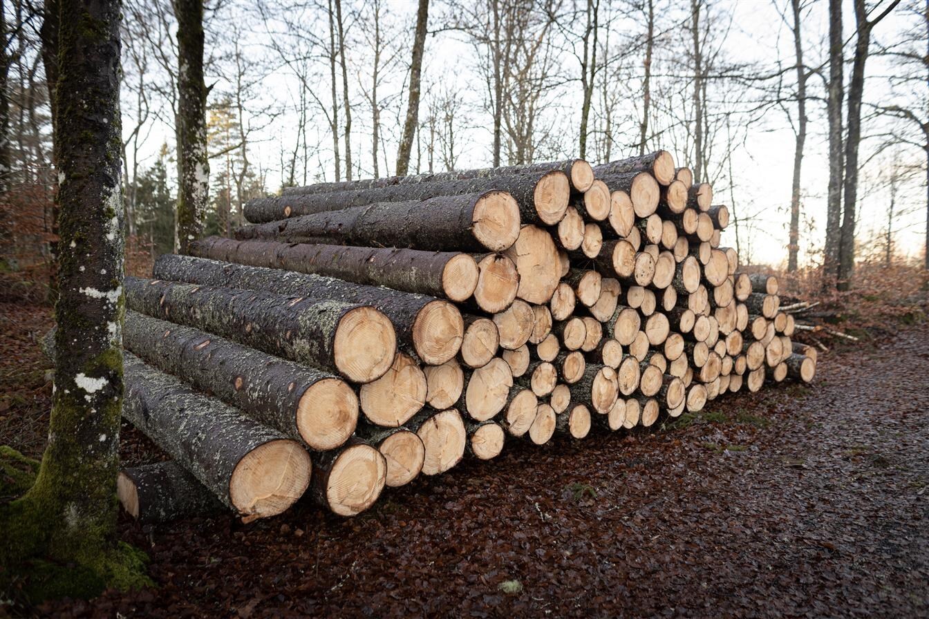 Unusually low stocks of softwood sawlogs in Sweden